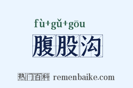腹股沟是什么意思的图片